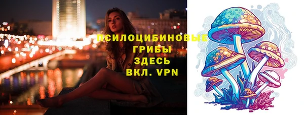 PSILOCYBIN Вязьма