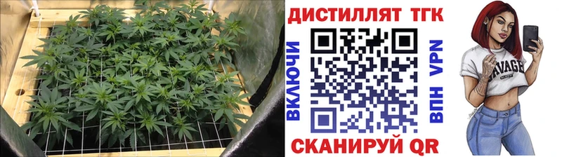 блэк спрут онион  купить закладку  Жердевка  ТГК гашишное масло 