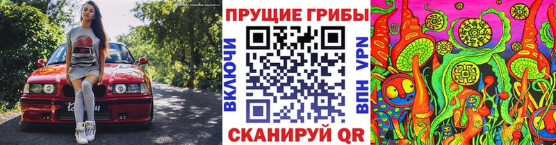 Псилоцибиновые грибы Cubensis  Жердевка 